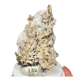 J04 - Astonishing Dendritic Allargentum Silver after Dyscrasite in Calcite Matrix