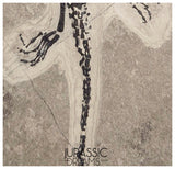 S289 - Interesting Genuine Partially disarticulated Keichousaurus hui skeleton Early Triassic Marine Reptile