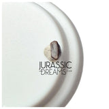 J435- Lovely Tiny Thescelosaurus sp Ornithischian Dinosaur Tooth - Late Cretaceous - Lance Fm