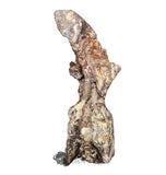 20189 - Rare Huge Jurassic Megalosaurid Theropod Dinosaur Dorsal Vertebra Bone