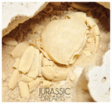 J51 - Finest Quality Fossil Crab (Potamon) Preserved in Travertine - Turkey Location
