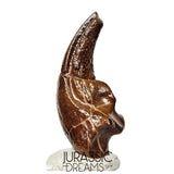 J106 - Top Rare Killer Alvarezsaurid Theropod Dinosaur Manus Claw - Lower Cretaceous Elrhaz Fm