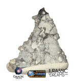 S274 - "The Apollo Lunar" Meteorite Part Slice "Gadamis 008" Lunar ferroan anorthosite 0,40g