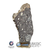 S308 - Outstanding "NWA 17679" Lunar Meteorite (feldspathic breccia) Part Slice 3,5g