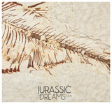 S301 - Nicely Preserved "Diplomystus dentatus" Fossil Fishs - Eocene Age from USA