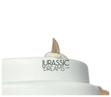 S331 - Tiny Lovely Dromaeosaurid Raptor Theropod Dinosaur Tooth - Judith River Fm