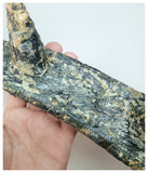 1211 - Museum Grade Spicomellus afer Oldest Ankylosaurian Dinosaur Partial Spiny Rib - El Mers Fm