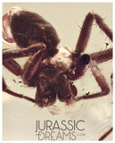 J332 - Museum Grade Large SPIDER & VELVET ANT Rare MUTILLIDAE Fossil Inclusion Genuine BALTIC AMBER + HQ Picture