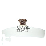 J435- Lovely Tiny Thescelosaurus sp Ornithischian Dinosaur Tooth - Late Cretaceous - Lance Fm