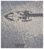 S138 - Nice Keichousaurus hui Early Triassic Marine Reptile WITH PRESERVED TEETH