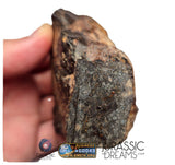S195 - "NWA 17596" MAIN MASS Ordinary Chondrite Type LL3 Meteorite 249g