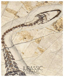 S49 - Superb Top Quality Keichousaurus hui Early Triassic Marine Reptile