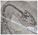 S181 - Top Well Preserved Keichousaurus hui Early Triassic Marine Reptile