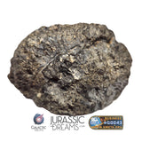 S100 - "NWA 17660" Eucrite Polymict HED Achondrite Meteorite Half Stone 154g