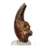 J106 - Top Rare Killer Alvarezsaurid Theropod Dinosaur Manus Claw - Lower Cretaceous Elrhaz Fm