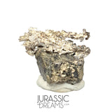 J05 - Astonishing Dendritic Allargentum Silver after Dyscrasite in Matrix