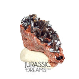 S298 - Top Rare Unusual Gohetite Partial Geode with Astonishing Prismatic Columnar Pyrolusite Crystals