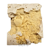 J85 - Top Fossil Crab (Potamon) Preserved in Travertine - Turkey Location