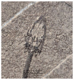 S124 - Superb Top Quality Juvenile Baby Keichousaurus hui Early Triassic Marine Reptile