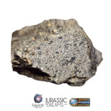 S101 - "NWA 17660" Eucrite Polymict HED Achondrite Meteorite MAIN MASS 227g