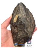 S78 -  "NWA 17599" MAIN MASS Fresh Eucrite (unbrecciated) HED Achondrite Meteorite 1280g