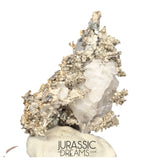 J04 - Astonishing Dendritic Allargentum Silver after Dyscrasite in Calcite Matrix