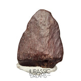 J120 - Exceedingly Rare Unidentified Basal Iguanodontian Dinosaur Ungual Claw