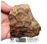 S195 - "NWA 17596" MAIN MASS Ordinary Chondrite Type LL3 Meteorite 249g