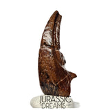 J106 - Top Rare Killer Alvarezsaurid Theropod Dinosaur Manus Claw - Lower Cretaceous Elrhaz Fm