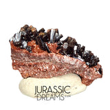 S298 - Top Rare Unusual Gohetite Partial Geode with Astonishing Prismatic Columnar Pyrolusite Crystals