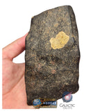 S78 -  "NWA 17599" MAIN MASS Fresh Eucrite (unbrecciated) HED Achondrite Meteorite 1280g