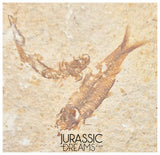 S380- Aesthetic "Knightia eocaena" Fossil Fish Mass Mortality Plate with 4 specimens - Eocene Age from USA