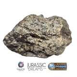 S100 - "NWA 17660" Eucrite Polymict HED Achondrite Meteorite Half Stone 154g