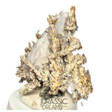 J04 - Astonishing Dendritic Allargentum Silver after Dyscrasite in Calcite Matrix