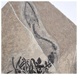 S289 - Interesting Genuine Partially disarticulated Keichousaurus hui skeleton Early Triassic Marine Reptile