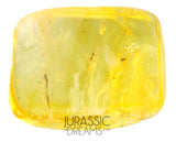 J20 - Nice PARASITIC WASP Apocrita Fossil Inclusion Genuine BALTIC AMBER + HQ Picture