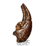 J106 - Top Rare Killer Alvarezsaurid Theropod Dinosaur Manus Claw - Lower Cretaceous Elrhaz Fm