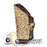 J326 - "MONEGROS" Rare Historical Spanish Meteorite - 5,27g Thick Crusted Slice - Ordinary Chondrite L5