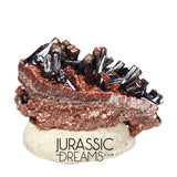 S298 - Top Rare Unusual Gohetite Partial Geode with Astonishing Prismatic Columnar Pyrolusite Crystals