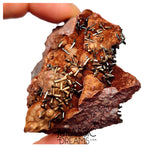 S206 - Top Rare Unusual Gohetite Geode with Astonishing Prismatic Columnar Pyrolusite Crystals