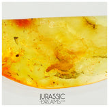 J11 - Great LARVAE Soft-Wing Flower Beetle MELYRIDAE Fossil Inclusion Genuine BALTIC AMBER + HQ Picture