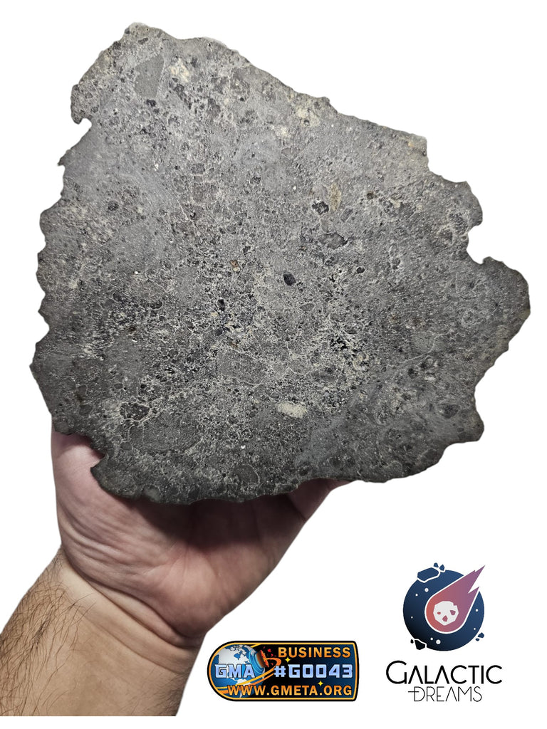 40000 - Museum Grade Lunar Meteorite Full Large Slice "NWA 17509" (prov) Troctolite 166g