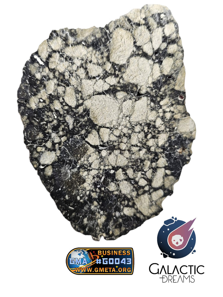 40002 - Museum Grade Lunar Meteorite Full Slice "NWA 17502" Fragmental breccia 56g