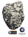 40002 - Museum Grade Lunar Meteorite Full Slice "NWA 17502" Fragmental breccia 56g
