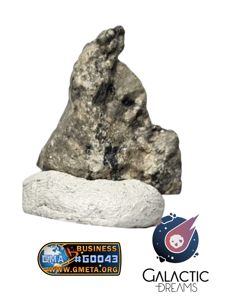 40018 - "The Apollo Lunar" Meteorite Endcut "Gadamis 008"  Lunar ferroan anorthosite 0,77g IN CATAWIKI AUCTION NOW