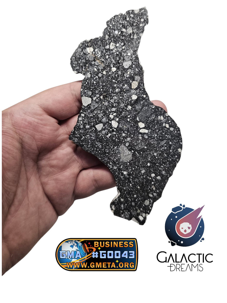 40003 - Museum Grade Lunar Breccia Meteorite Slice "Under Classification" 42,89g