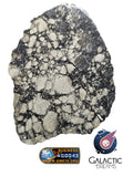 40002 - Museum Grade Lunar Meteorite Full Slice "NWA 17502" Fragmental breccia 56g