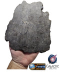 40000 - Museum Grade Lunar Meteorite Full Large Slice "NWA 17509" (prov) Troctolite 166g