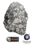 40002 - Museum Grade Lunar Meteorite Full Slice "NWA 17502" Fragmental breccia 56g