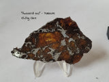 "Awsserd 002" Pallasite MG Slice 15.54g
